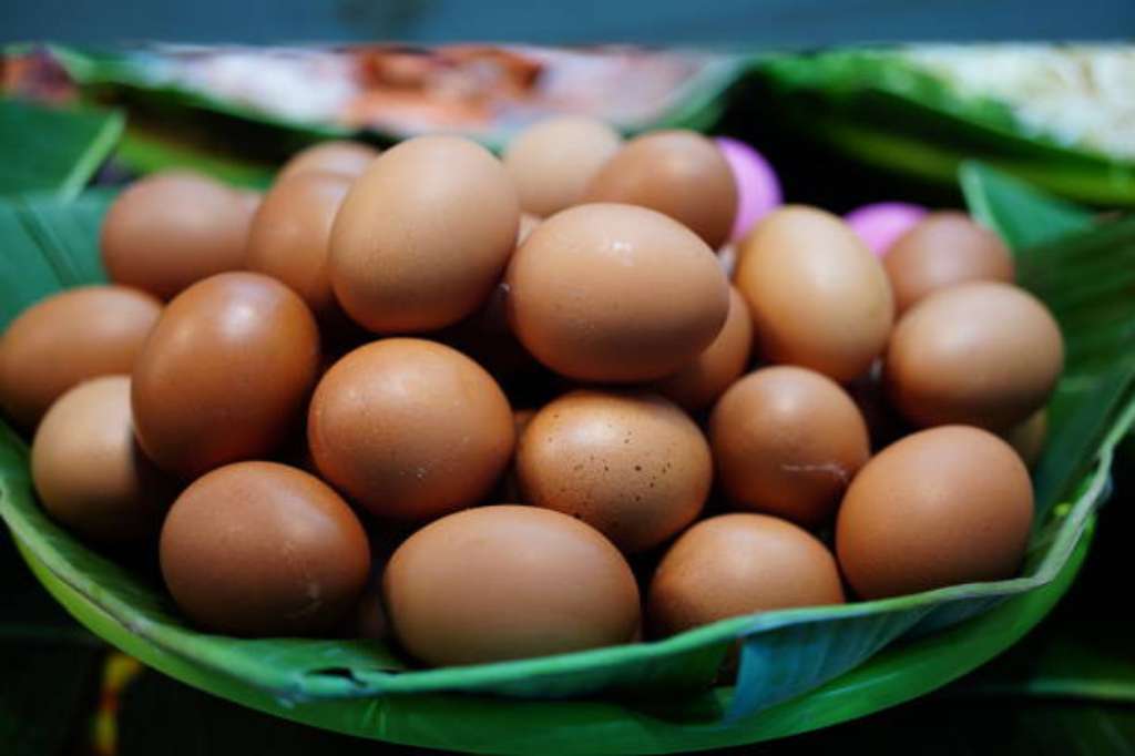 Tambah Indukan Ayam, Harga Telur Diprediksi Turun